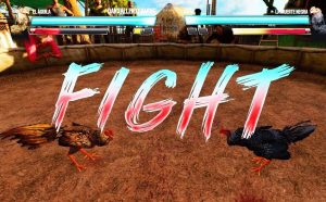 Đá Gà Khin79: Sân Chơi Đỉnh Cao Cho Kê Thủ Năm 2025